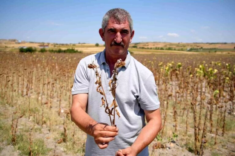edirnede-ureticiler-avans-fiyatina-tepki-gosterdi-sdQ9NUMq.jpg