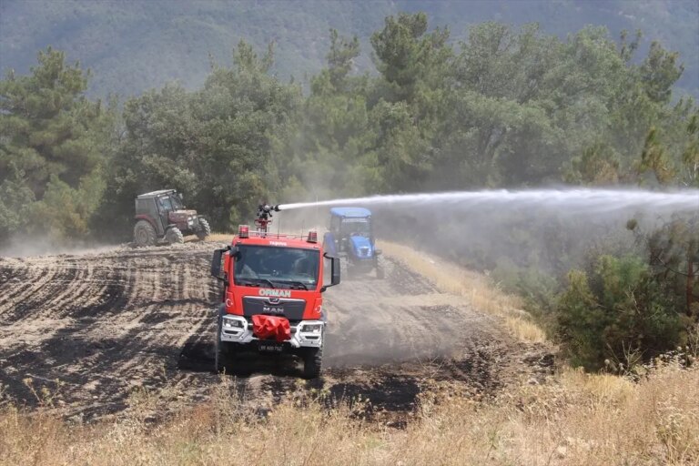 tasovada-tarim-arazisinde-yangin-sonduruldu-gW2jgY31.jpg