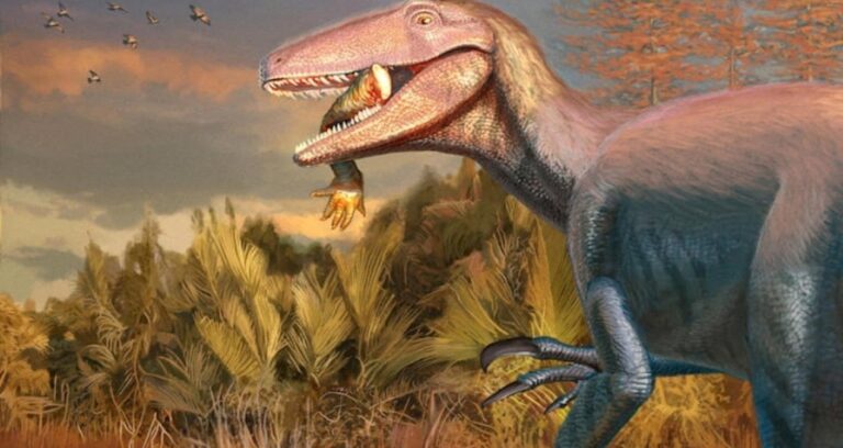jurassic-park-filmlerinden-firlamis-gibi-yeni-tur-agzindaki-son-yemegi-ile-bulundu-9GW6U3L3.jpg