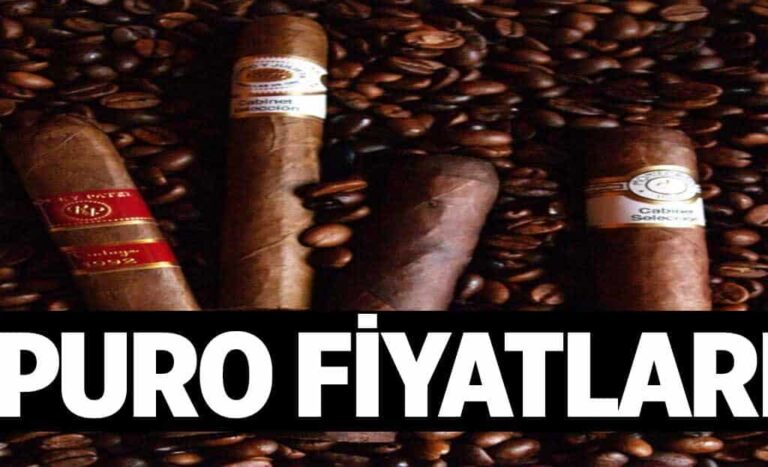 Puro Fiyatlari 1024x622kKr.jpg