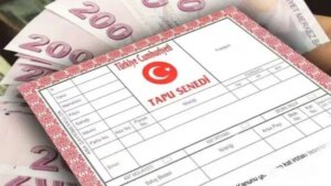 milli emlak arsa satislarini duyurdu 13 bin liraya tapu sahibi olunacak aLVpUNlv.jpg