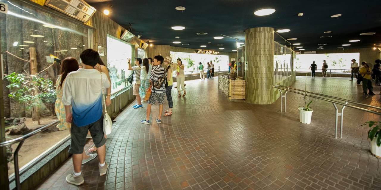 Hayvanat Bahçesinde Şok Edici İtiraf: “Fırında Yok Ettim”