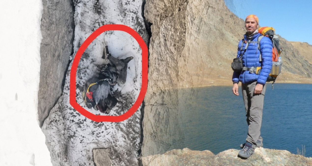 5 günlük arayış acı bitti: Dağcı Yüksel Işık’ın asılı kaldığı yer dronla görüntülendi 5 gunluk arayis aci bitti dagci yuksel isikin asili kaldigi yer dronla goruntulendi 7jOVFIp5